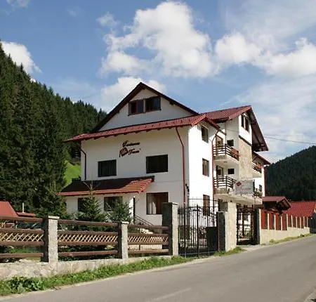 Pensiunea La Turcu Bed & Breakfast